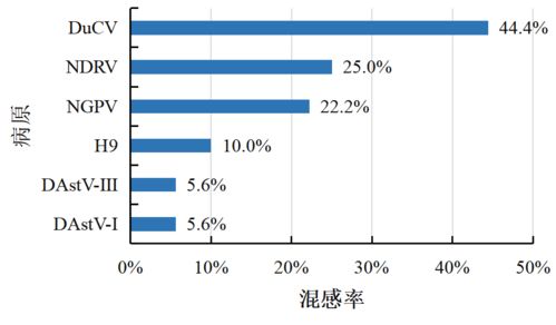 信得科技檢測(cè)中心2024年5月禽病檢測(cè)報(bào)告 聚焦蛋禽、肉禽、水禽健康管理與肝癌血漿microRNA標(biāo)志物檢測(cè)新進(jìn)展