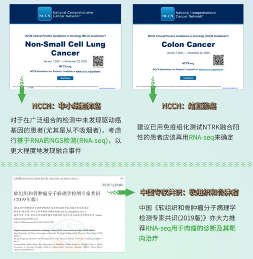 融二為一，精準(zhǔn)抗癌 燃石醫(yī)學(xué)DNA+RNA雙檢測賦能實(shí)體瘤患者——論文解讀肝癌血漿microRNA標(biāo)志物檢測報告系統(tǒng)